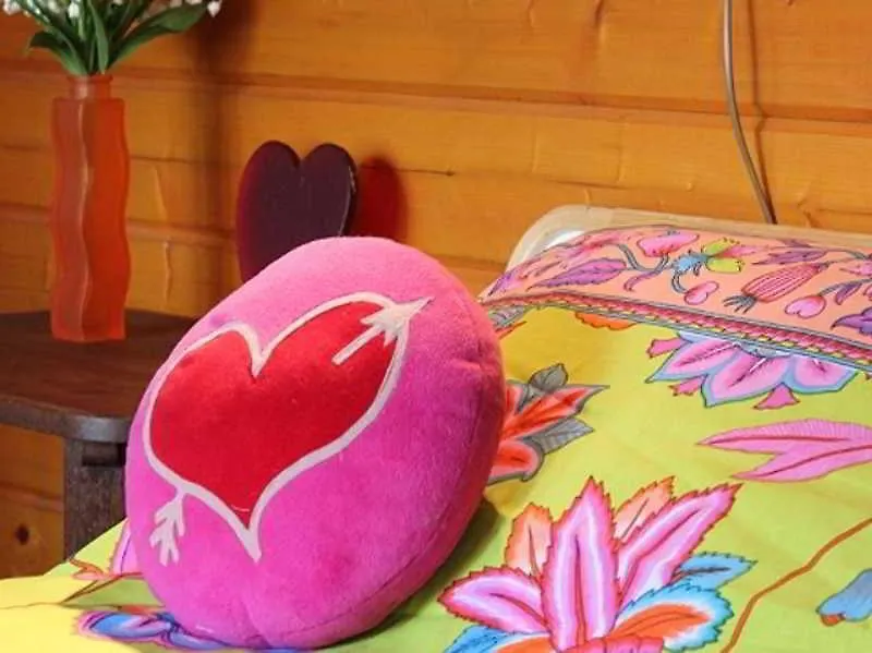אמסטרדם Xaviera'S Bed And Breakfast 2*,